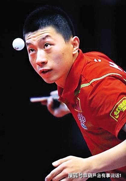 深圳队本赛 深圳队本赛