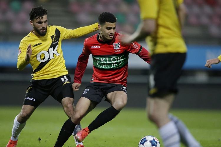 大利亚NB 大利亚NB